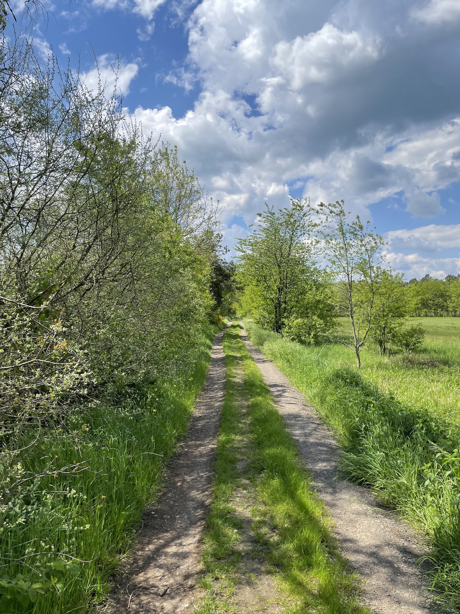 Schmaler Weg durch die Landschaft
